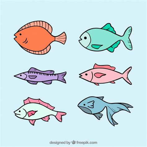 6 fish clipart|Six Fish Cliparts .